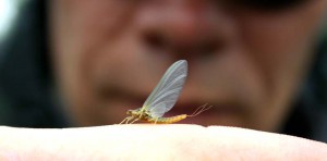 IMG_0471