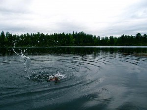 IMG_1008