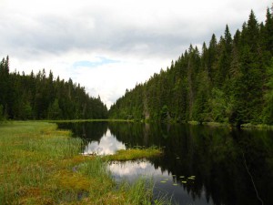 IMG_1330