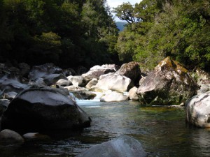 IMG_3560