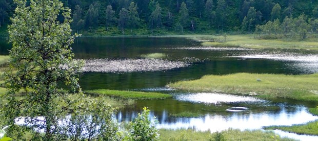 Fra Småvantnan i Troms. En fryd for øye og etter min mening også hva angår fiske