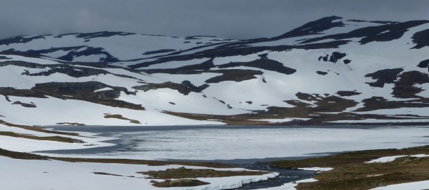 Fra vest på Hardangervidda. Foto: Reidar Borgtrøm