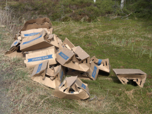 pappkasser med tusenvis av ender fraktet fra Sverige til skogstraktene rundt Skien