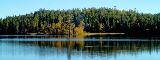 Fra Nordmarka nord i går ettermiddag